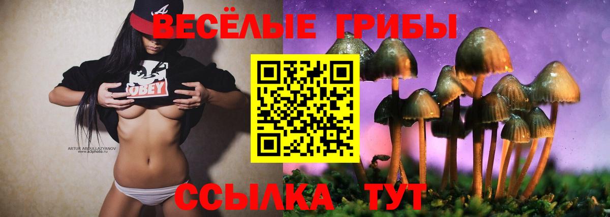 Галлюциногенные грибы мухоморы  Псилоцибиновые грибы Cubensis  закладка  Вход с VPN  Кинель 